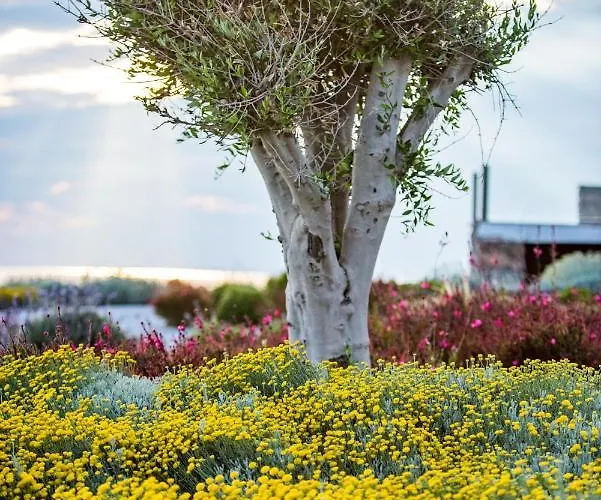 别墅 Vathi Bleu Private *