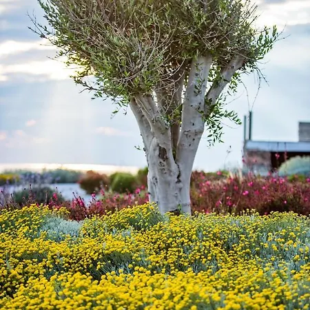 فيلة Vathi Bleu Private *